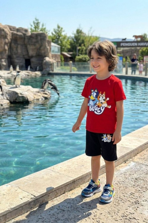 BLUEY DESENLİ ŞORTLU TAKIM  Kırmızı