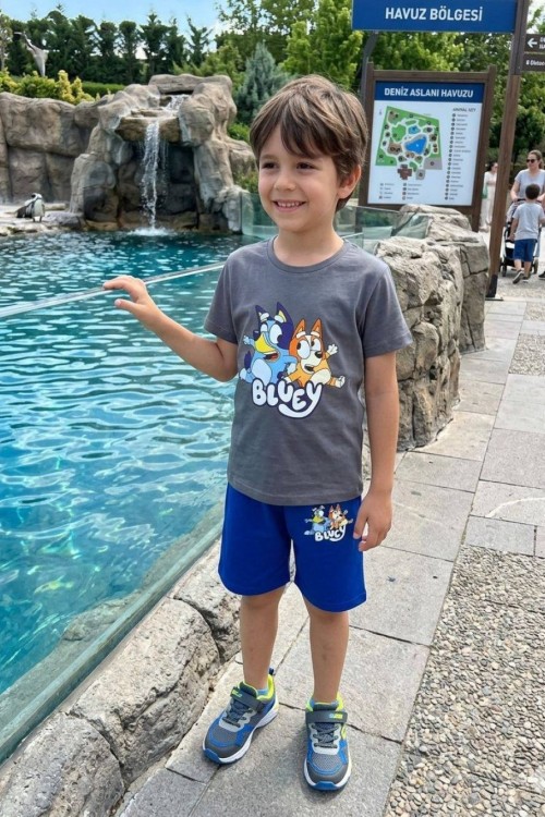 BLUEY DESENLİ ŞORTLU TAKIM  Gri