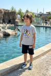 BLUEY DESENLİ ŞORTLU TAKIM  Açık Gri