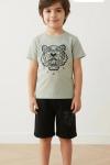 GARSON BOY KENZO ASLAN DESENLİ ŞORTLU TAKIM  Mint Yeşili