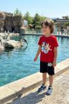 BLUEY DESENLİ ŞORTLU TAKIM  Kırmızı